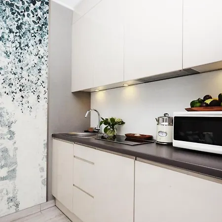 Biala Sowa Czarna Gora Apartment *