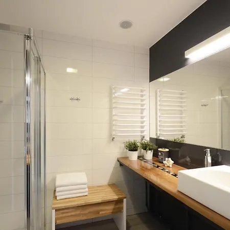 Apartment Biala Sowa Czarna Gora Sienna (Klodzko)