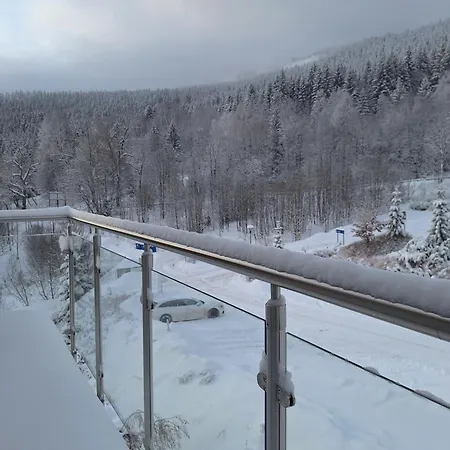 Biala Sowa Czarna Gora Апартаменты *