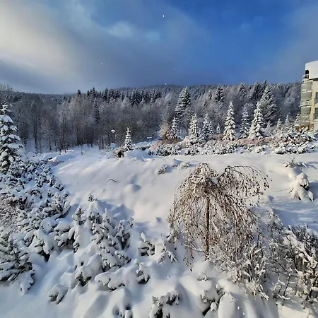 Biala Sowa Czarna Gora Apartment *