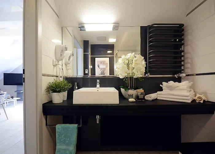 Апартаменты Biala Sowa Czarna Gora