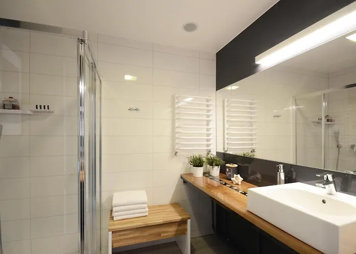 Apartment Biala Sowa Czarna Gora Sienna (Klodzko)