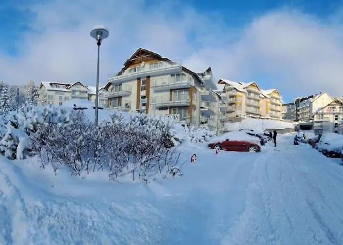 Biala Sowa Czarna Gora *