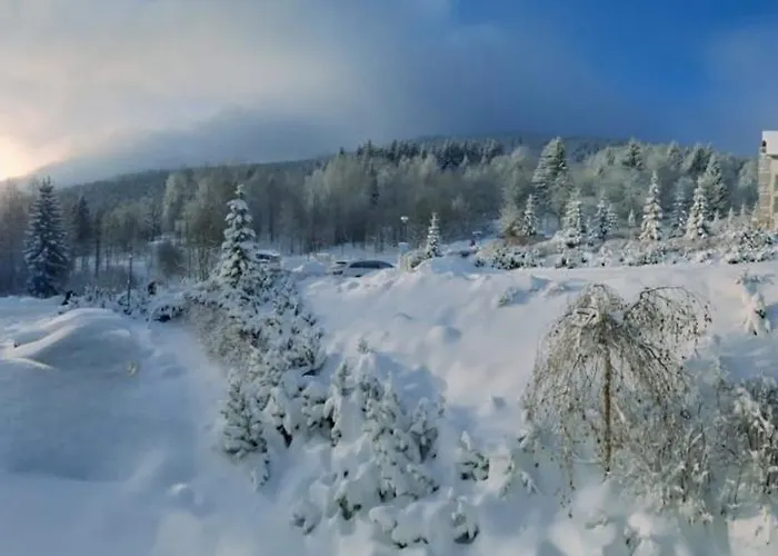 Apartment Biala Sowa Czarna Gora *