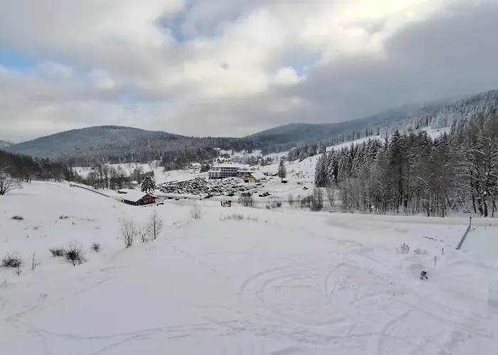 Апартаменты Biala Sowa Czarna Gora