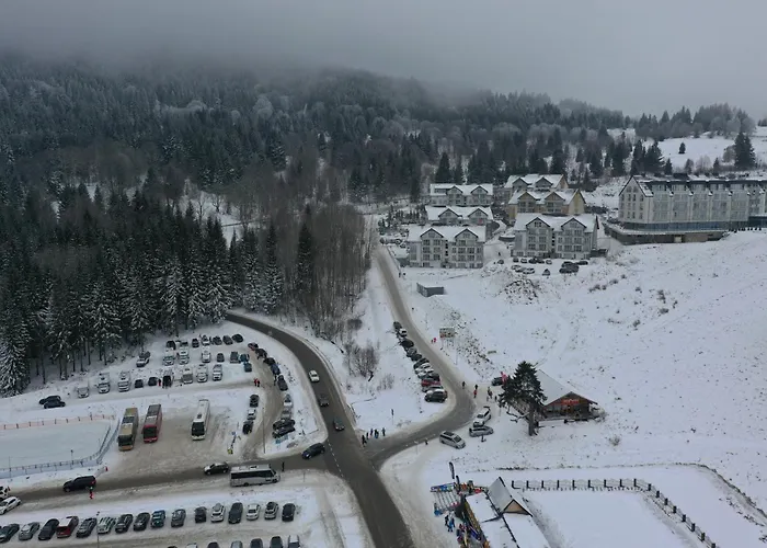 Biala Sowa Czarna Gora