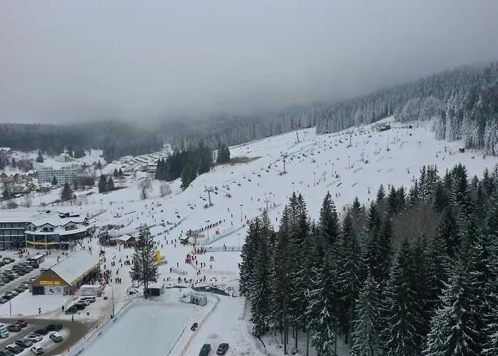 Biala Sowa Czarna Gora * Sienna (Klodzko)