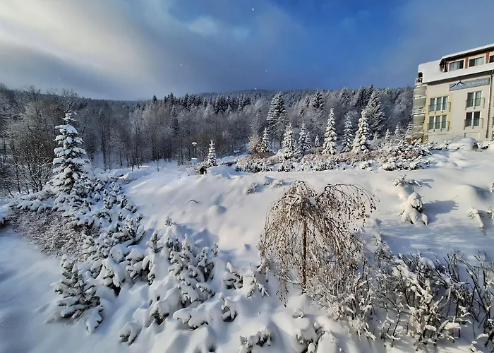 Biala Sowa Czarna Gora Lejlighed *