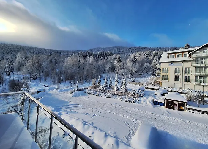 Apartment Biala Sowa Czarna Gora