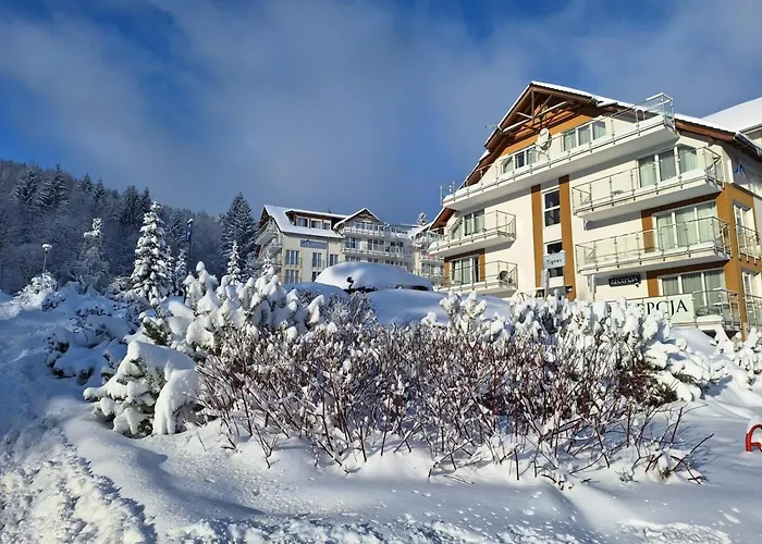 Biala Sowa Czarna Gora Apartment Sienna (Klodzko)