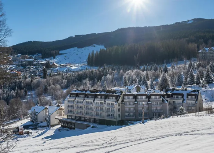 Biala Sowa Czarna Gora *