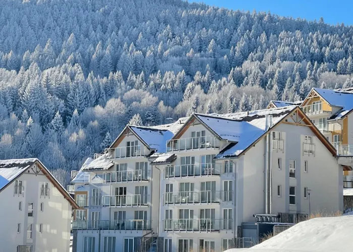 Biala Sowa Czarna Gora *